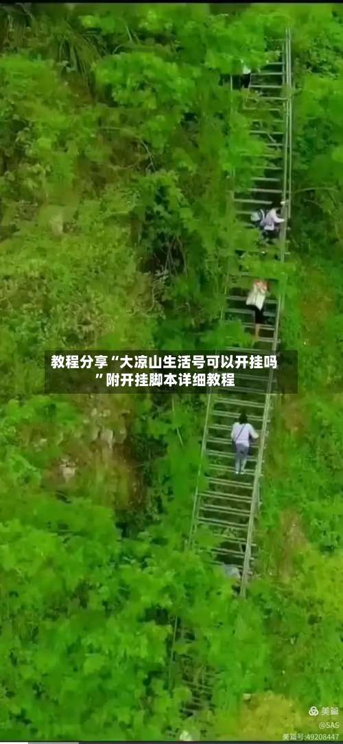 教程分享“大凉山生活号可以开挂吗	”附开挂脚本详细教程-第1张图片