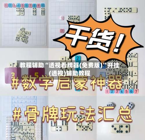 教程辅助“透视看牌器(免费版)”开挂(透视)辅助教程-第2张图片