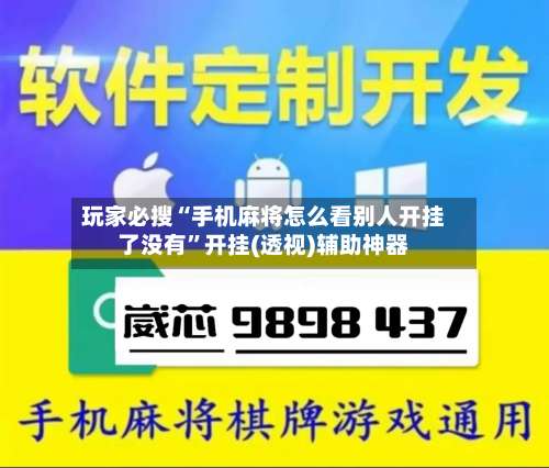 玩家必搜“手机麻将怎么看别人开挂了没有”开挂(透视)辅助神器-第2张图片