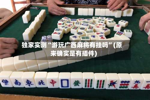 独家实测“游玩广西麻将有挂吗”(原来确实是有插件)-第1张图片