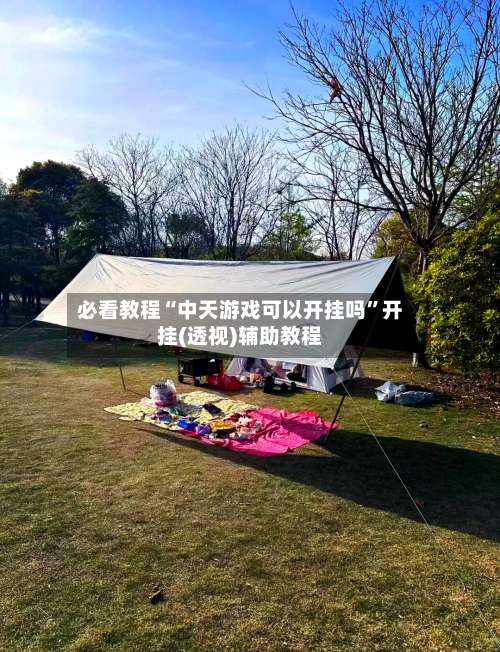 必看教程“中天游戏可以开挂吗”开挂(透视)辅助教程-第2张图片