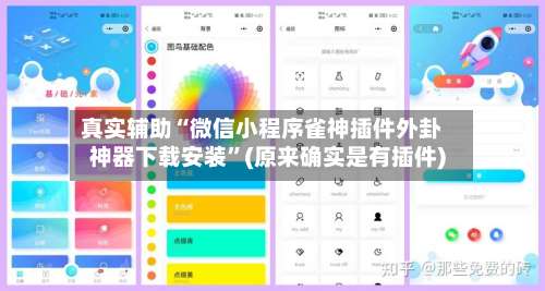 真实辅助“微信小程序雀神插件外卦神器下载安装	”(原来确实是有插件)-第1张图片