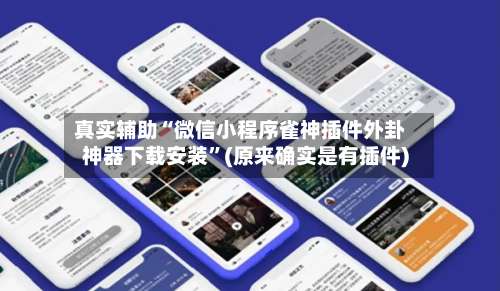 真实辅助“微信小程序雀神插件外卦神器下载安装”(原来确实是有插件)-第2张图片