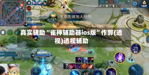 真实辅助“雀神辅助器ios版”作弊(透视)透视辅助-第1张图片