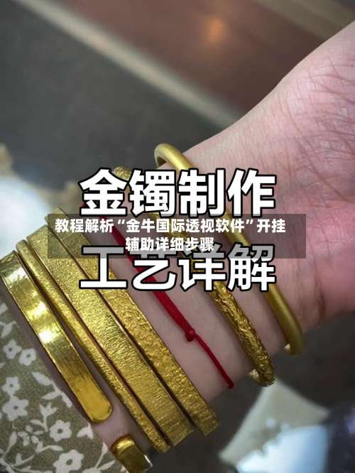 教程解析“金牛国际透视软件	”开挂辅助详细步骤-第2张图片