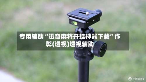 专用辅助“迅奇麻将开挂神器下载”作弊(透视)透视辅助-第1张图片