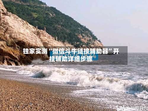 独家实测“微信斗牛链接辅助器	”开挂辅助详细步骤-第2张图片