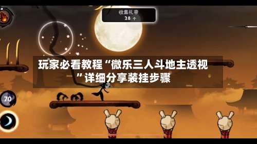 玩家必看教程“微乐三人斗地主透视”详细分享装挂步骤-第2张图片