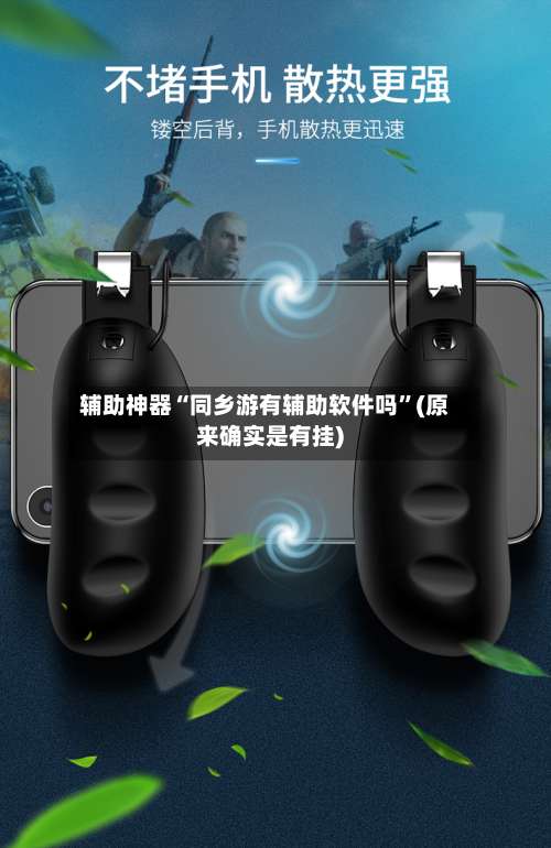 辅助神器“同乡游有辅助软件吗	”(原来确实是有挂)-第2张图片