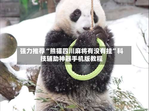 强力推荐“熊猫四川麻将有没有挂”科技辅助神器手机版教程-第1张图片