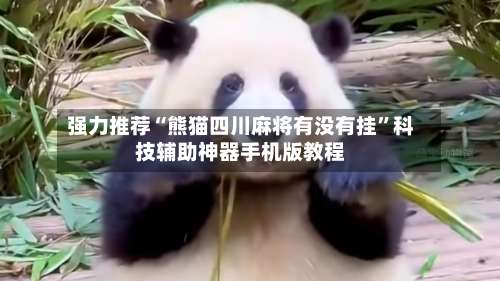 强力推荐“熊猫四川麻将有没有挂”科技辅助神器手机版教程-第2张图片