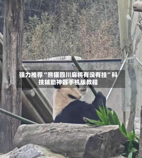 强力推荐“熊猫四川麻将有没有挂	”科技辅助神器手机版教程-第3张图片