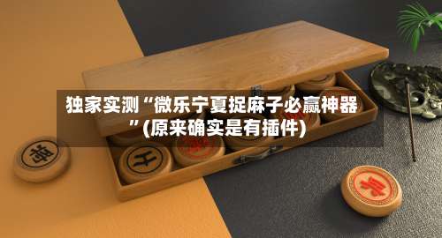 独家实测“微乐宁夏捉麻子必赢神器”(原来确实是有插件)-第2张图片