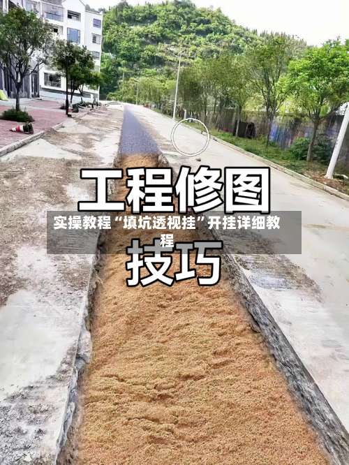 实操教程“填坑透视挂”开挂详细教程-第2张图片