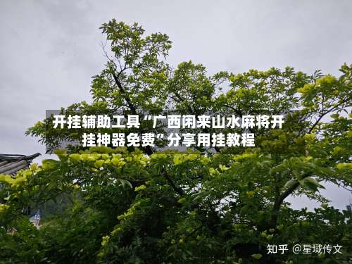 开挂辅助工具“广西闲来山水麻将开挂神器免费	”分享用挂教程-第1张图片