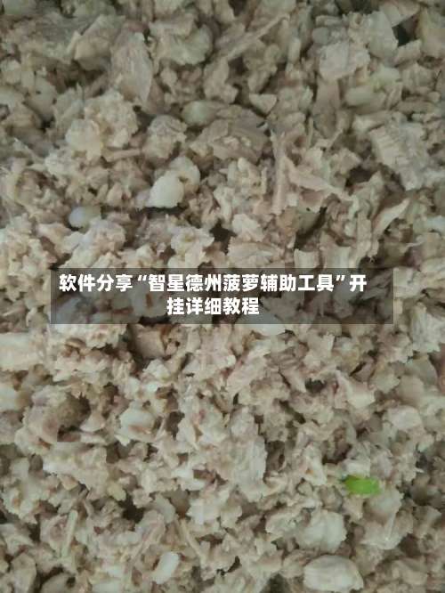 软件分享“智星德州菠萝辅助工具	”开挂详细教程-第3张图片