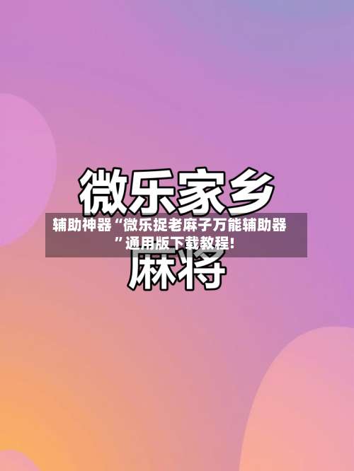 辅助神器“微乐捉老麻子万能辅助器	”通用版下载教程!-第3张图片