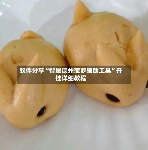 软件分享“智星德州菠萝辅助工具	”开挂详细教程-第1张图片