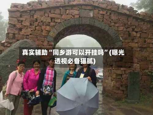 真实辅助“同乡游可以开挂吗”(曝光透视必备猫腻)-第1张图片