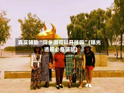 真实辅助“同乡游可以开挂吗”(曝光透视必备猫腻)-第3张图片