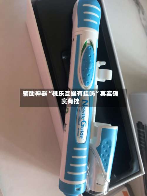 辅助神器“桃乐互娱有挂吗”其实确实有挂-第2张图片