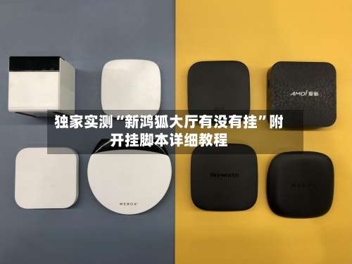 独家实测“新鸿狐大厅有没有挂”附开挂脚本详细教程-第1张图片