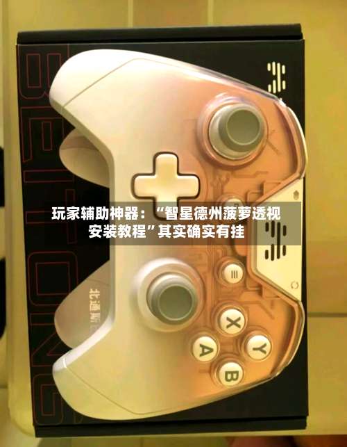 玩家辅助神器：“智星德州菠萝透视安装教程”其实确实有挂-第2张图片