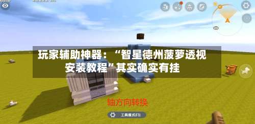 玩家辅助神器：“智星德州菠萝透视安装教程”其实确实有挂-第1张图片