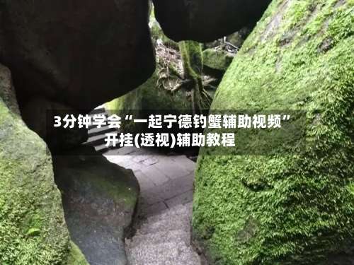 3分钟学会“一起宁德钓蟹辅助视频	”开挂(透视)辅助教程-第2张图片