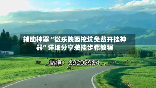 辅助神器“微乐陕西挖坑免费开挂神器”详细分享装挂步骤教程-第3张图片