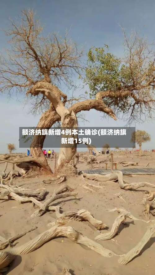 额济纳旗新增4例本土确诊(额济纳旗新增15例)-第2张图片