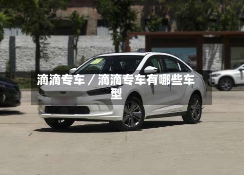 滴滴专车／滴滴专车有哪些车型-第1张图片