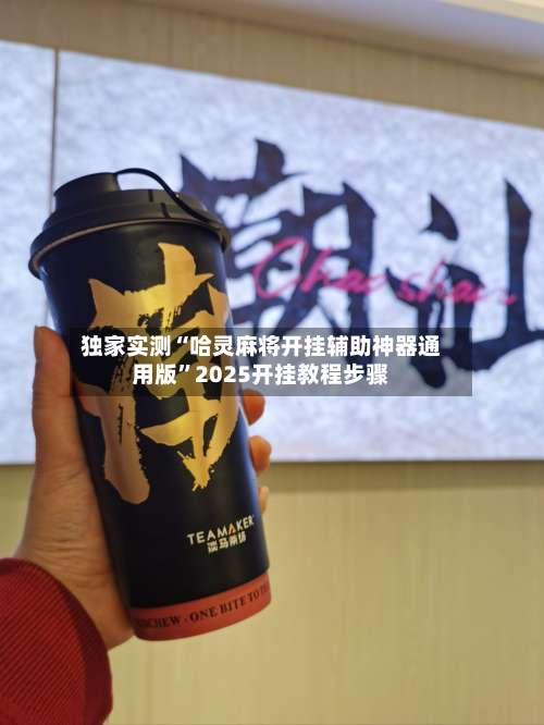 独家实测“哈灵麻将开挂辅助神器通用版”2025开挂教程步骤-第3张图片