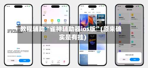 教程辅助“雀神辅助器ios版	”(原来确实是有挂)-第3张图片