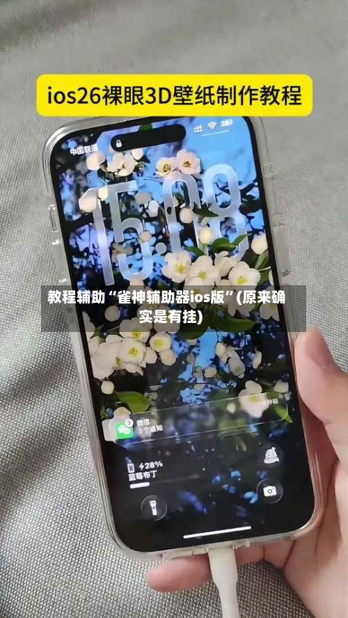 教程辅助“雀神辅助器ios版”(原来确实是有挂)-第2张图片