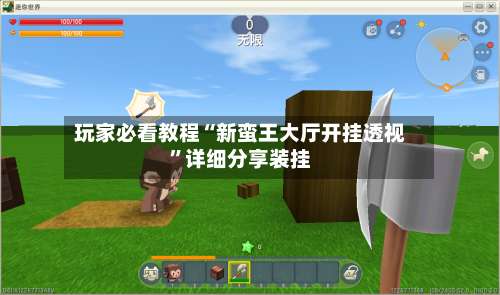 玩家必看教程“新蛮王大厅开挂透视”详细分享装挂-第1张图片