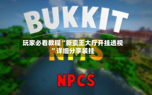 玩家必看教程“新蛮王大厅开挂透视	”详细分享装挂-第2张图片