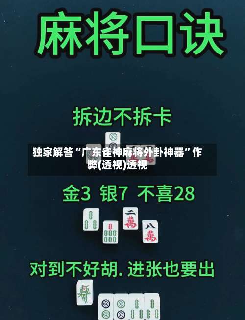 独家解答“广东雀神麻将外卦神器”作弊(透视)透视-第3张图片