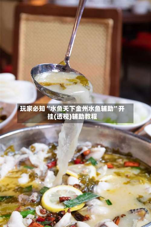 玩家必知“水鱼天下金州水鱼辅助	”开挂(透视)辅助教程-第1张图片