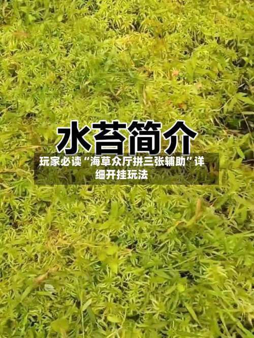 玩家必读“海草众厅拼三张辅助	”详细开挂玩法-第1张图片