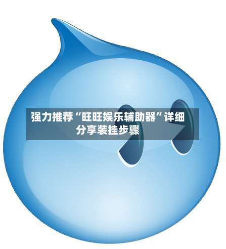 强力推荐“旺旺娱乐辅助器	”详细分享装挂步骤-第1张图片