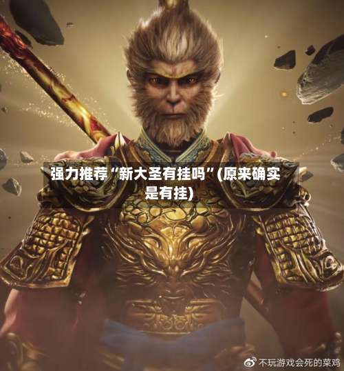 强力推荐“新大圣有挂吗	”(原来确实是有挂)-第1张图片