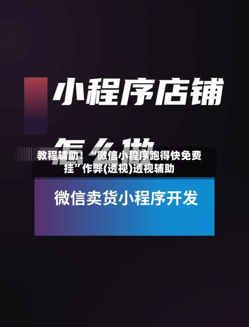 教程辅助！“微信小程序跑得快免费挂”作弊(透视)透视辅助-第1张图片