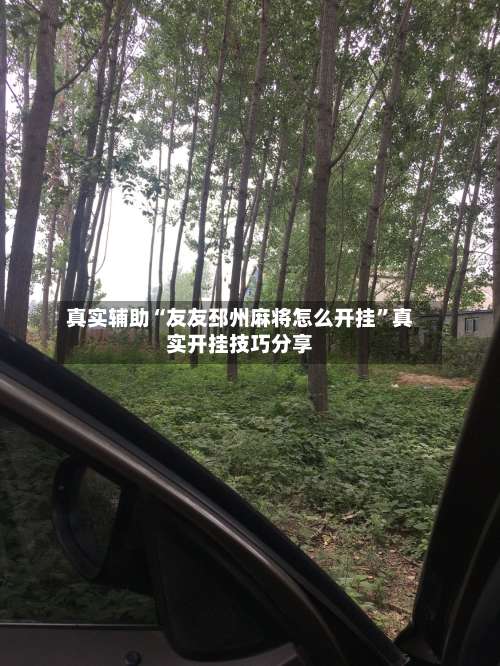 真实辅助“友友邳州麻将怎么开挂	”真实开挂技巧分享-第2张图片