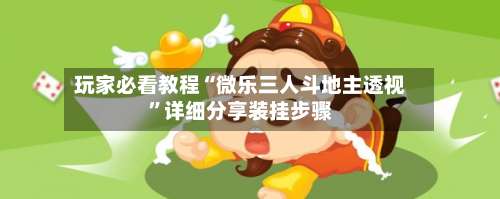 玩家必看教程“微乐三人斗地主透视”详细分享装挂步骤-第1张图片
