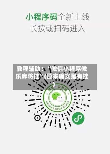 教程辅助！“微信小程序微乐麻将挂	”(原来确实是有挂)-第1张图片