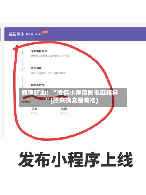 教程辅助！“微信小程序微乐麻将挂”(原来确实是有挂)-第3张图片