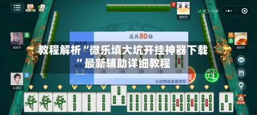 教程解析“微乐填大坑开挂神器下载	”最新辅助详细教程-第1张图片