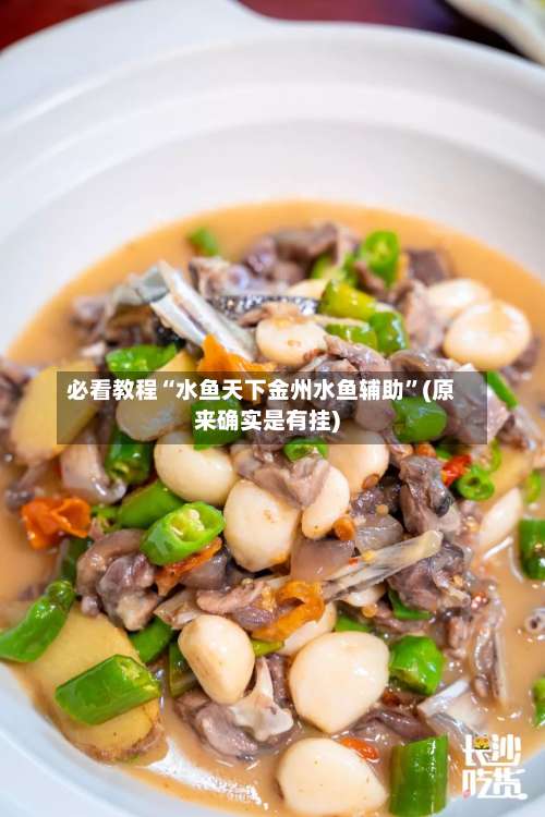 必看教程“水鱼天下金州水鱼辅助”(原来确实是有挂)-第2张图片