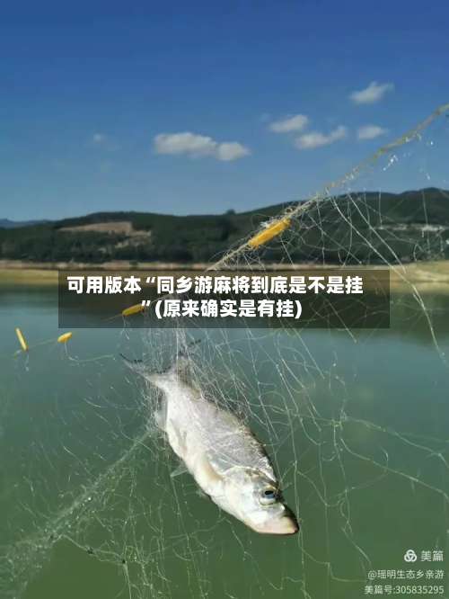 可用版本“同乡游麻将到底是不是挂	”(原来确实是有挂)-第1张图片